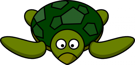Il web in Italia: la solita tartaruga!