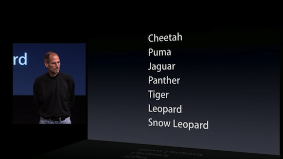 E se Lion fosse l’ultima versione di OS X ?