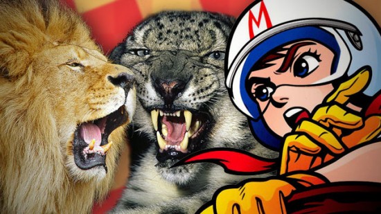 Lion vs Snow Leopard – Qual è il felino più veloce?