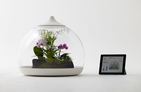 Biome, il terraio controllato dall’iPad – Concept