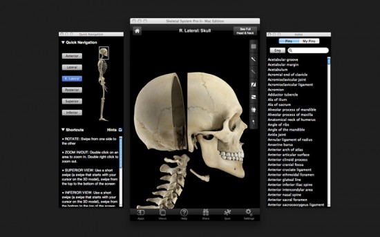 Skeletal System Pro II porta sul Mac l’anatomia scheletrica per studenti e professionisti