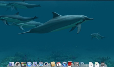 Dolphins 3D, trasforma lo schermo del tuo Mac in un vera e propria finestra per osservare i delfini ed il mondo marino