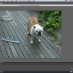 Adobe rilascia la beta pubblica di Photoshop CS6
