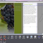 Goldfish Professional, tutto il necessario per creare siti Web professionali… in promozione!