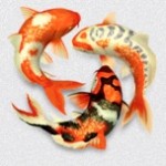 Wallpaper dinamici ed animati per il proprio Mac – Su Mac App Store