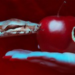 Apple può dire addio alla segretezza?