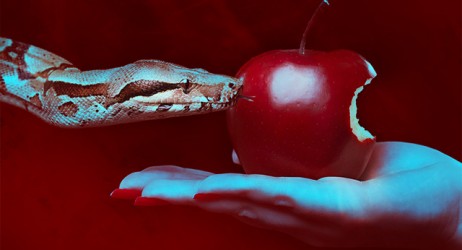 Apple può dire addio alla segretezza?
