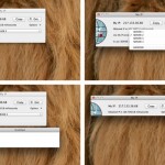 My IP: visualizziamo il nostro IP pubblico