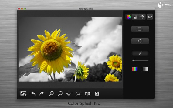 Color Splash Pro: applicazione grafica per risaltare i colori