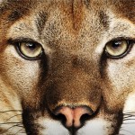 Mountain Lion è già il sistema operativo Apple più utilizzato in assoluto