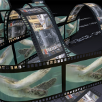 Un fine settimana con Kinemac, per realizzare animazioni 3D senza corsi e… libri da studiare!