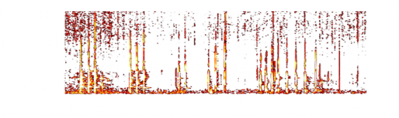 spectrogramGrayWhale