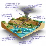 “Godus”, il nuovo gioco di Molineux: beta su Mac il 13 settembre