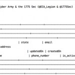 Hacker: “Abbiamo violato il database di Apple”
