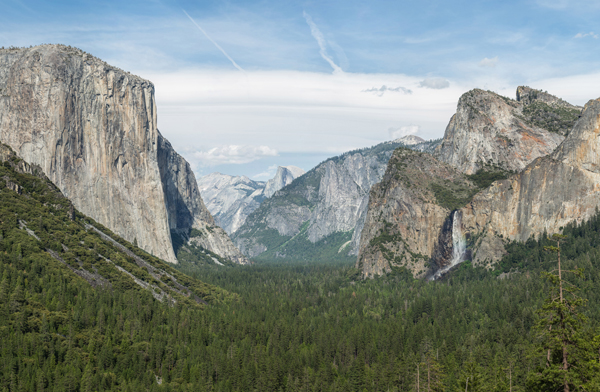 Tre nomi per il prossimo OS X: Redwood, Mammoth o California