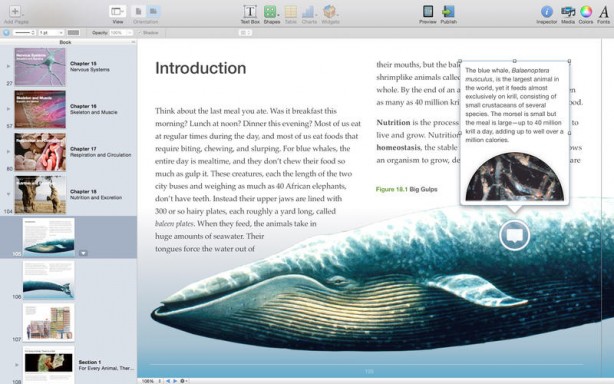 Nuovo aggiornamento per iBooks Author