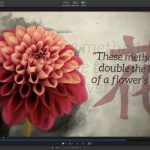 Apple rilascia Motion 5.3