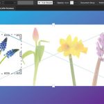 Adobe aggiorna Illustrator CC e InDesign CC