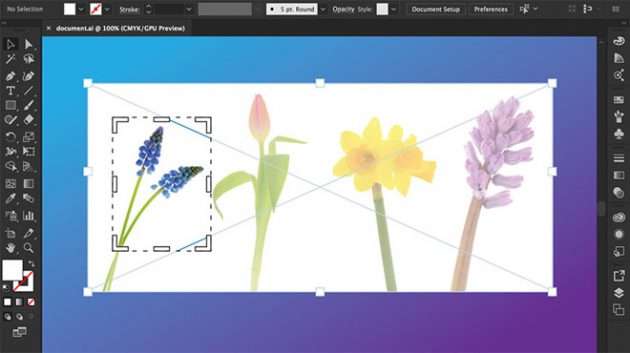 Adobe aggiorna Illustrator CC e InDesign CC