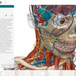 Atlante di anatomia umana edizione 2017 disponibile su Mac App Store