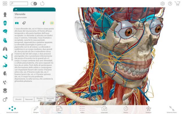 Atlante di anatomia umana edizione 2017 disponibile su Mac App Store