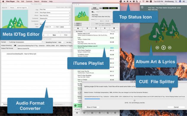Pine Player: alternativa più leggera ad iTunes per eseguire file multimediali