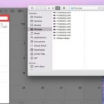 Fanstastical 2.5, ecco tutte le novità