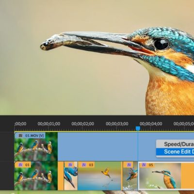 Adobe Premiere Pro si aggiorna con alcune novità
