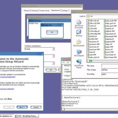 Microsoft aveva creato un’interfaccia di Windows XP simile a Mac OS X