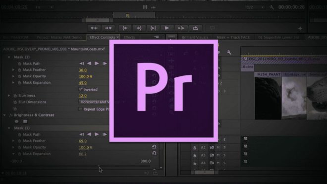 Aggiornamento Premiere Pro: trasparenze per le GIF e supporto per la codifica hardware