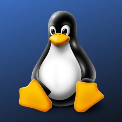 Linux arriva ufficialmente sui Mac M1