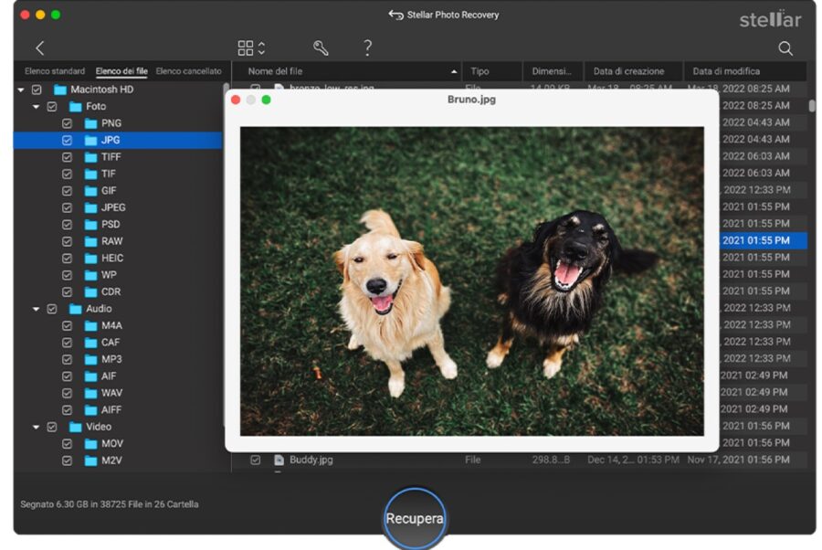 Stellar Photo Recovery